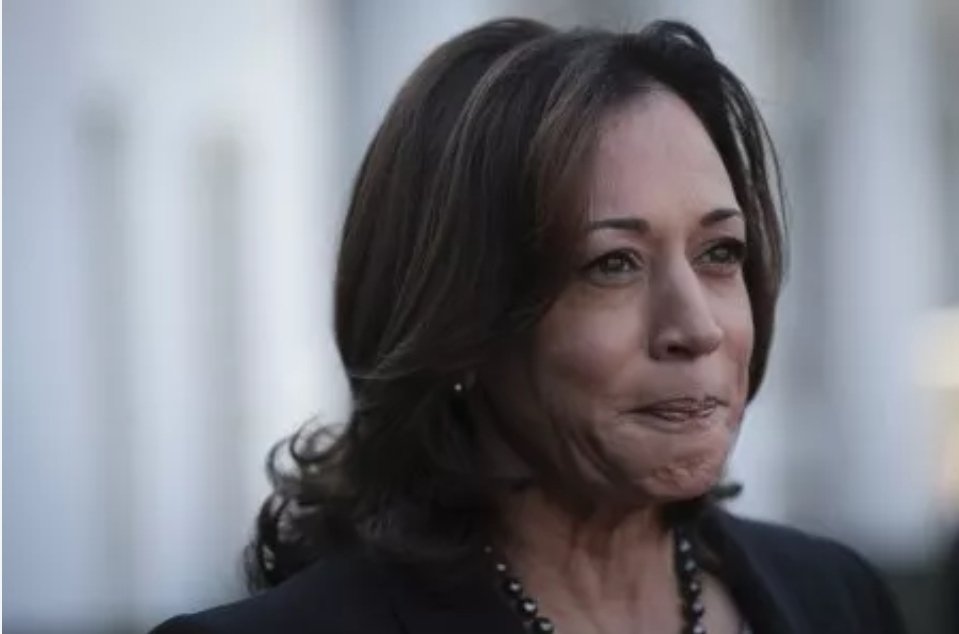 lbox327's tweet image. If you listen to the &apos;Words&apos; Politicians say, for they just point The Agendas they after

Watch their &apos;Action&apos;s&apos; &amp;amp; Truth is always revealed

&quot;#RulesForTheeButNotForMe.&quot;

Kamala Harris roasted over Thanksgiving photo: Gas stoves for me but not for thee
nypost.com/2023/11/24/new…