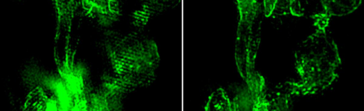 Our work on adaptive optics using bespoke neural network controllers has been published in <a href="/LightSciAppl/">LightSciAppl</a>. Read more here: rdcu.be/dqVwG. <a href="/DopOxford/">Dynamic Optics and Photonics Group</a>