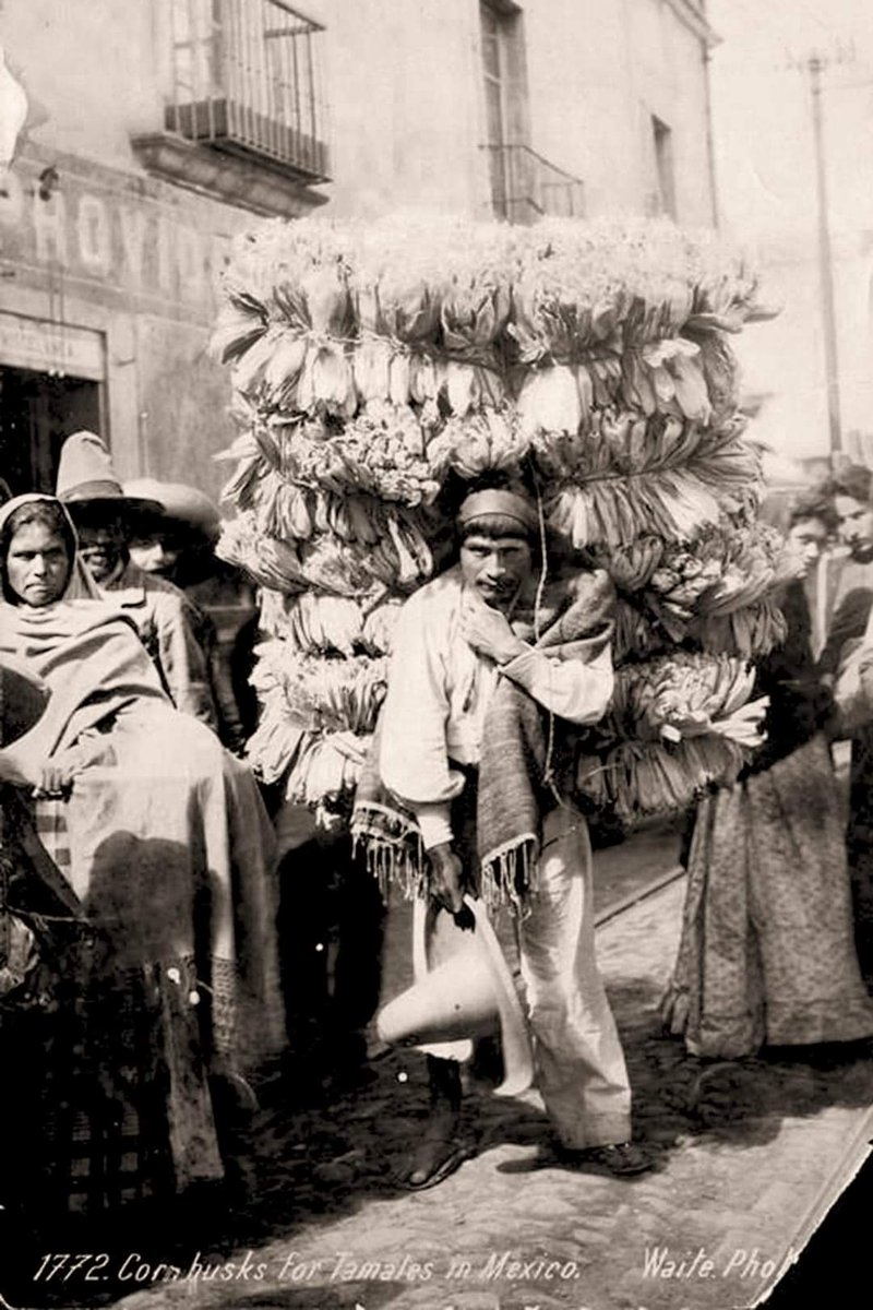 Vendedor de hojitas de maíz para los tamales .
México 1905.🌲

#SinMaízNoHayPaís

#MéxicoTierraSagrada