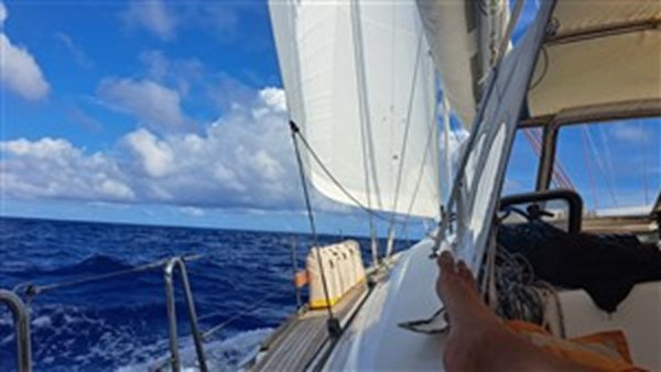 Y2KAdventure's tweet photo. Posizione del 26 nov 2023 21:26: 26 nov 2023 21:26

Notte molto tranquilla con Y2K che ha navigato dolcemente a 6kt circa senza 
grandi e repentini movimenti, insomma ci ha aiutato a riposare bene. La 
temperatura si è alzata decisamente, prima notte… https://t.co/6oushuBB8P https://t.co/uPbP8hSstl