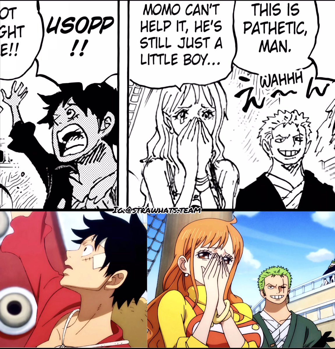 Momo will miss them more. 

#LUFFY #ZORO #NAMI 
#ONEPIECE #ONEPIECE1085