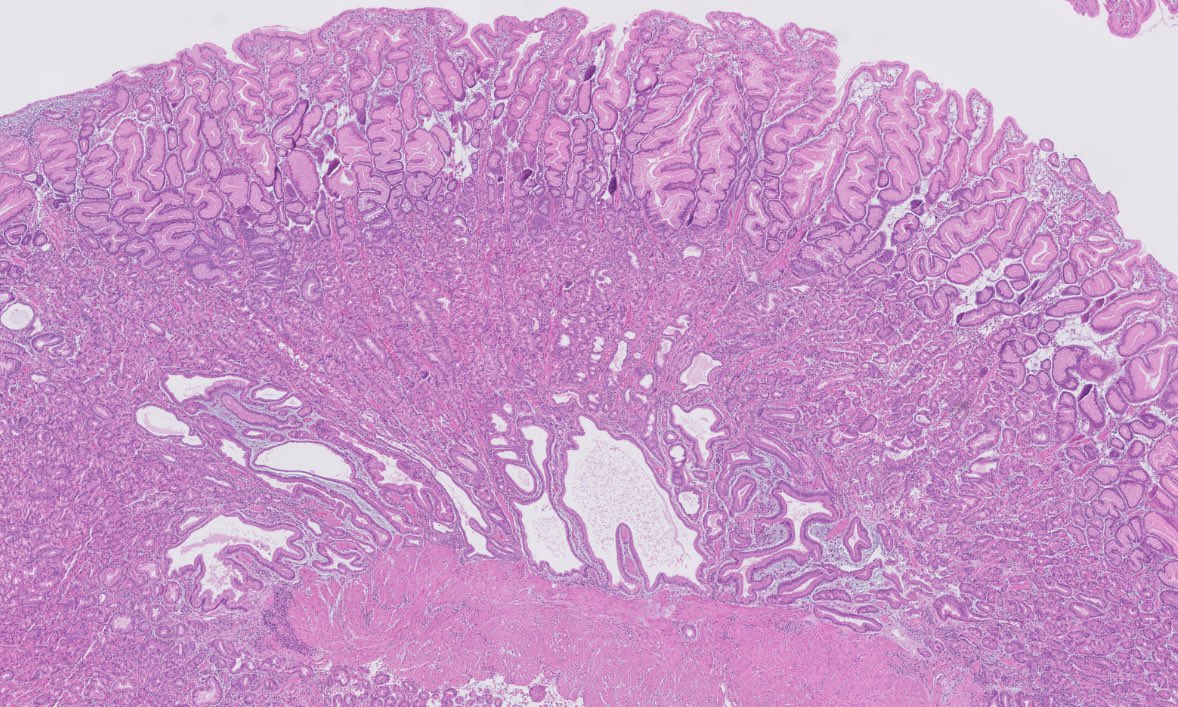 OhioStatePath's tweet photo. What do you ๐?
#pathresidents #pathnewbies
#PathTwitter #pathx https://t.co/Dzyn33x9HK
