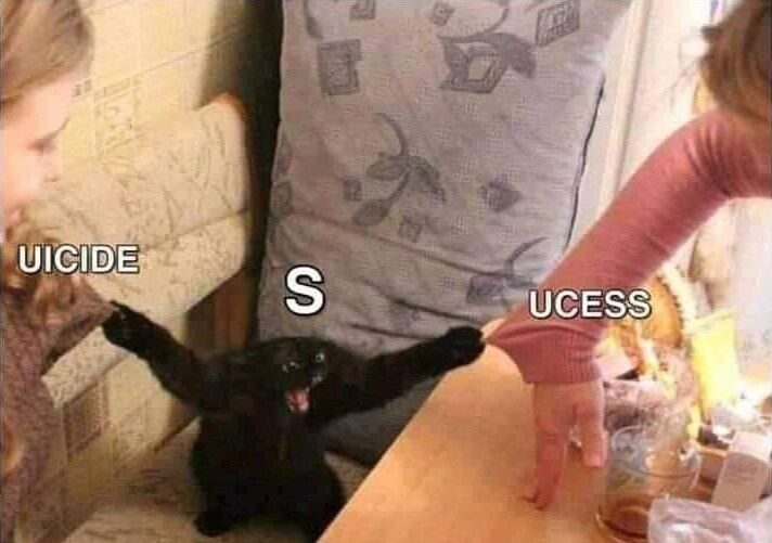 eo_acopalices's tweet image. 