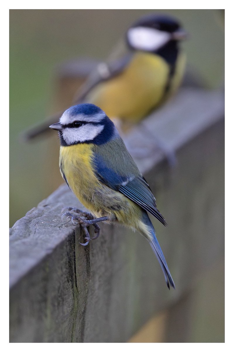 Hope you have a great start to the week <a href="/loz89/">Lauren Rowlands</a> ⁦<a href="/ZachRudd_/">Zach Rudd</a>⁩ ⁦<a href="/LukeRudd84/">Luke Rudd</a>⁩ ⁦<a href="/serudd1960/">Susan Rudd</a>⁩