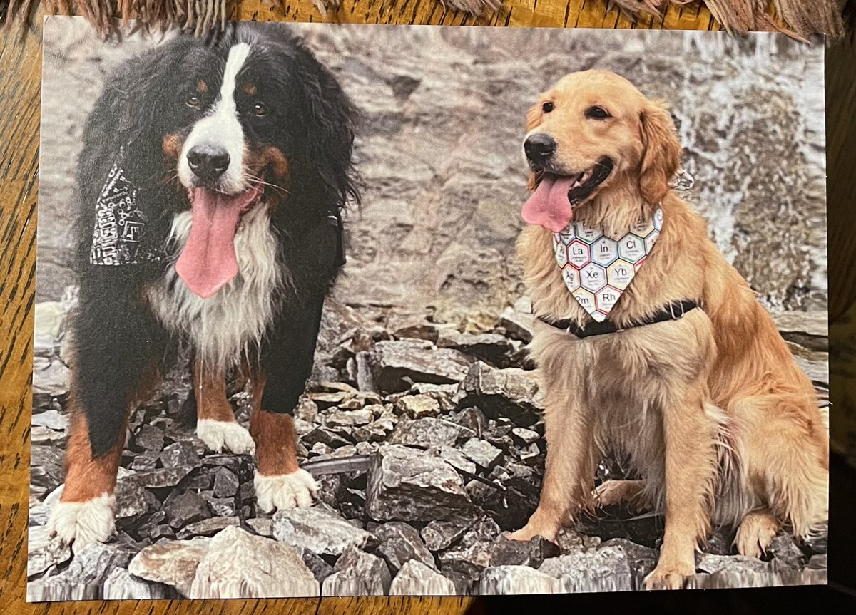 Become an official PawPack member and get cool postcards like this from our favorite science dogs @bunsenbernerbmd. 
Loads of fun we have there!🐾💕