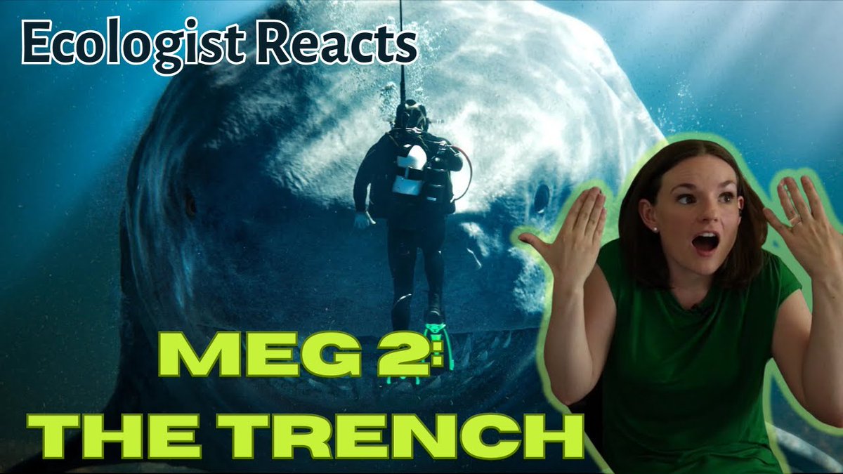 New video out on the channel! This time I breakdown the #sharkscience in #Meg2. Can you train a shark? Can someone swim around at the bottom of the ocean? Let's find out! #shark #themeg youtube.com/watch?v=urYQGw…