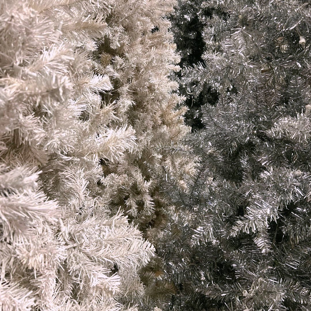 Whip_Shots's tweet photo. Ready to step into a Whipshots winter wonderland? ❄️👀

#whipshots #vodkashots #vodka #bardigang #cardib #christmastimeishere #christmas #whippedcream #holiday #holidayseason #christmastree #presentsunderthetree https://t.co/kXFdYHEBJk