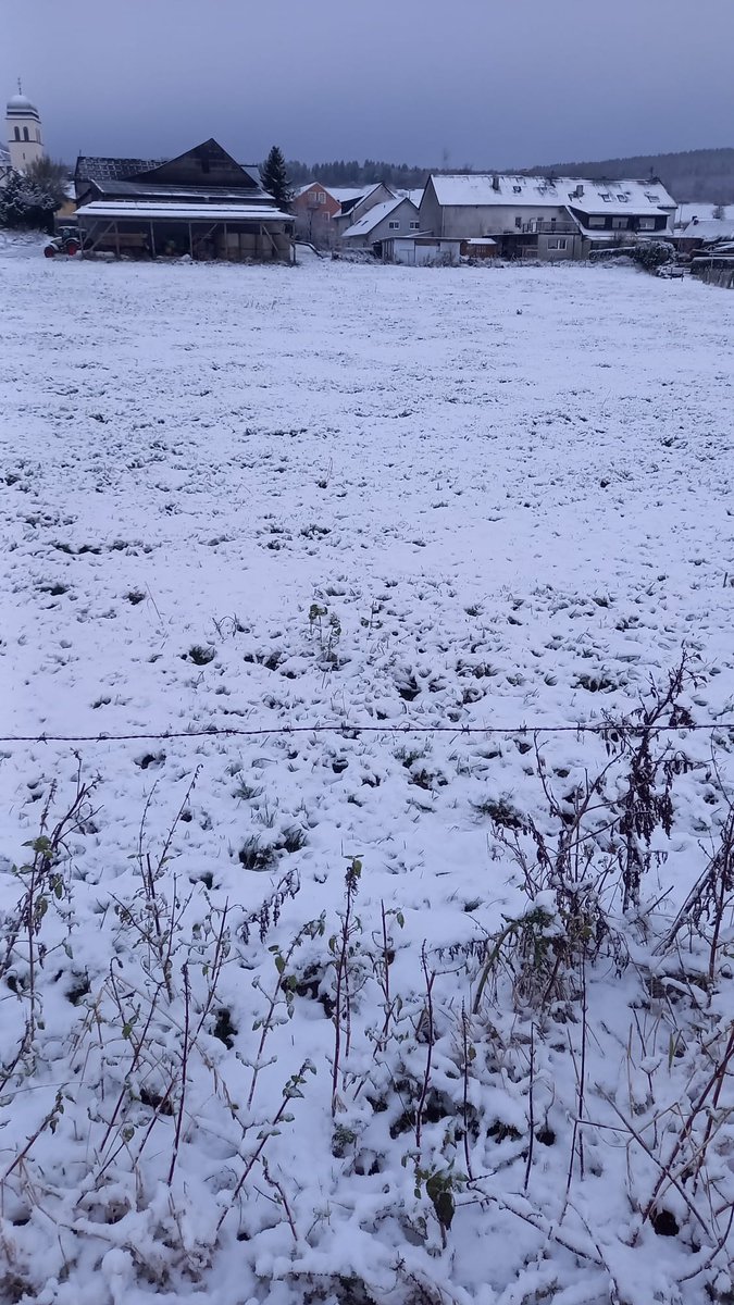 SW58971797's tweet photo. おはようとざいます❤
もう故郷は雪だらけ！どんどん寒くなっていきますが、防寒をしっかりして本日も頑張って生きます！ https://t.co/mBqqdWXAss