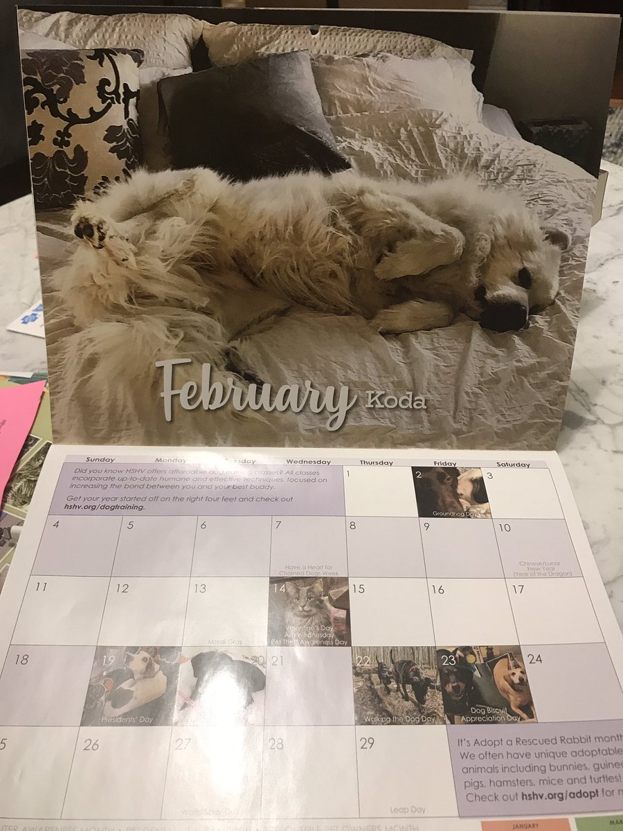 Our silly dog made the Humane society of Huron Valley calendar.
