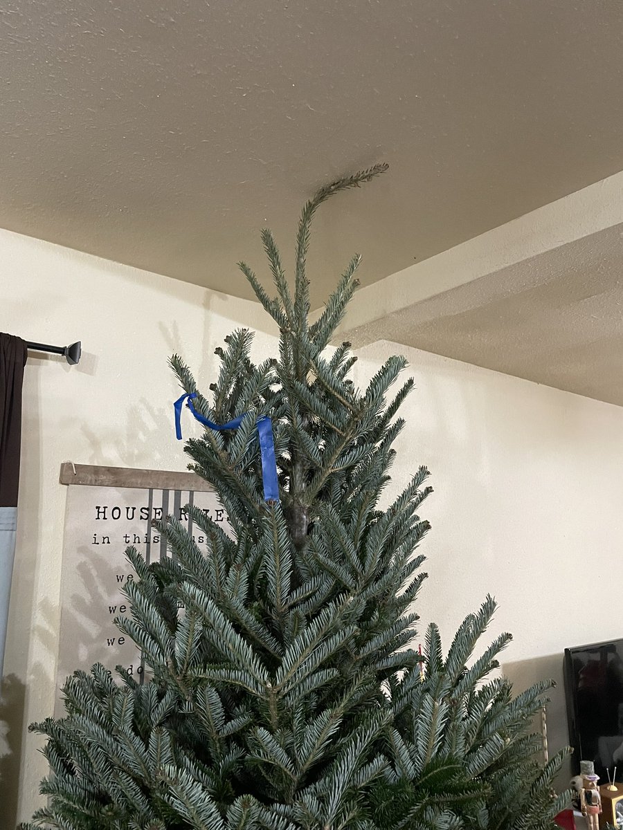CoachDensonHZ's tweet photo. WIFE: “that tree is too tall for our house”
ME AND SLADE: “eh, it’ll be fine”
#densonsofnocona #littlefull #lottasap #griswoldstyle https://t.co/fxXw59geYD