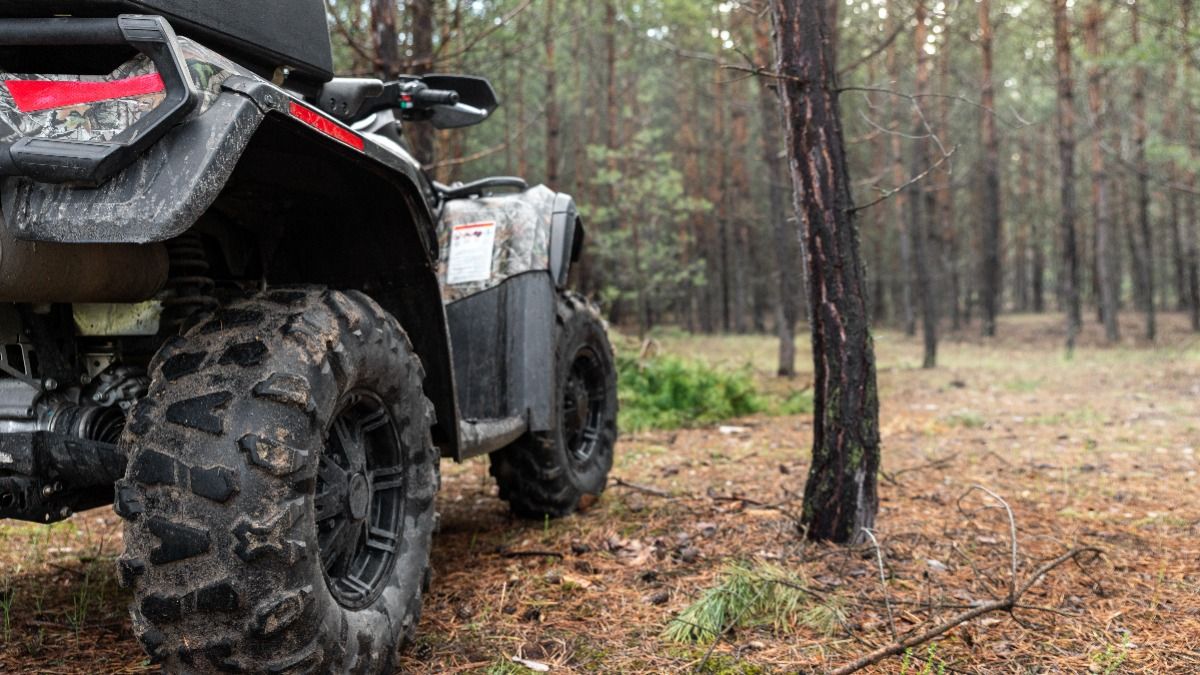 Beyond Contempt True Crime tweet media