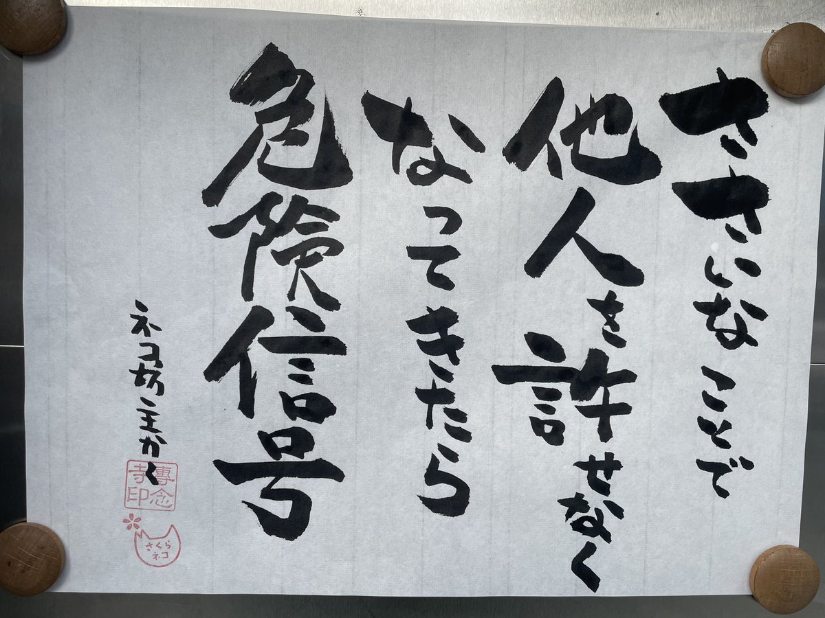 専念寺/ネコ坊主 tweet media