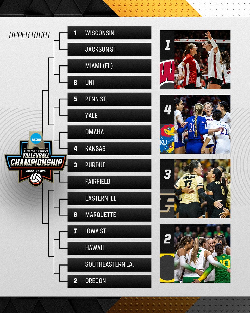 NCAA Women's Volleyball tweet media