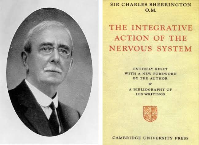 Sir #CharlesScottSherrington (1857 – 1952) —- #NobelPrize (1932) — was President of the #RoyalSociety (1920s). Through “The Integrative Action of the Nervous System”, he explained synaptic communication between neurons in the #CentralNervousSystem. #BirthAnniversary today.