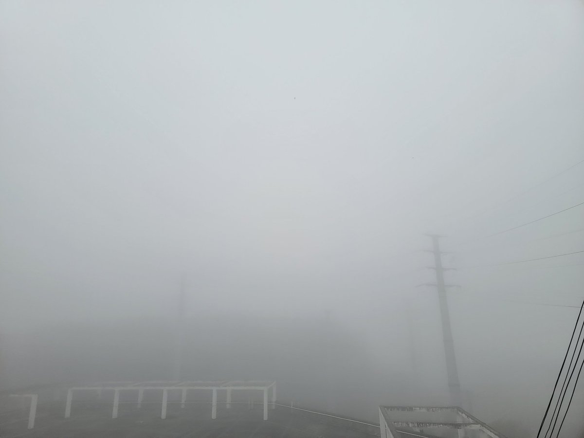 2776846833ls's tweet photo. 雾大雾大 https://t.co/Jl3oyedRN8
