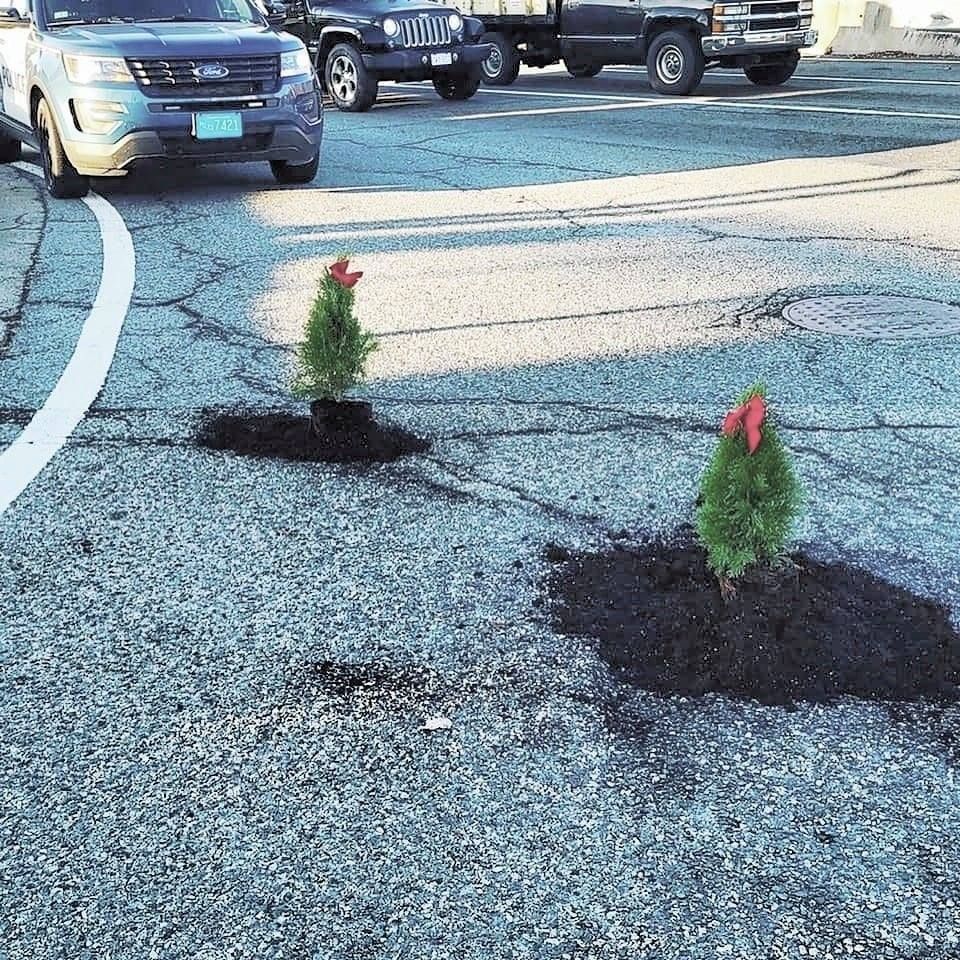 🌲Someone in #Massachusetts planted mini-Christmas trees inside potholes around town as a passive aggressive way of getting officials to deal with potholes around town 🤣
