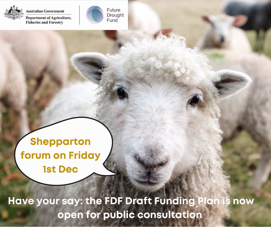 Have your say on the #FutureDroughtFund Plan - Shepparton Friday 1 DEC
How to take part: Put your view forward on how best to help #Aussiefarmers & regional communities build resilience & #droughtpreparedness for future drought & climate risks.
Register➡️ hubs.la/Q028WnFk0
