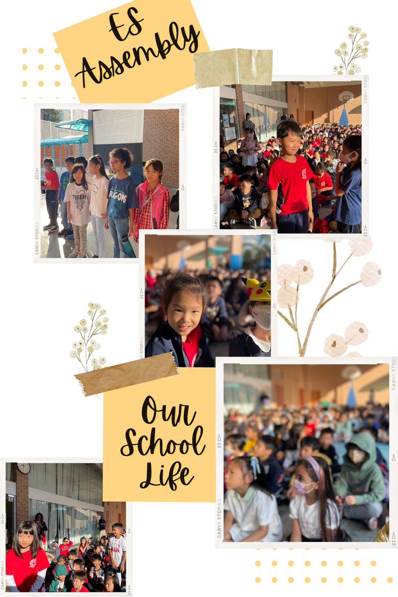 Aaron N. Baumgartner tweet media