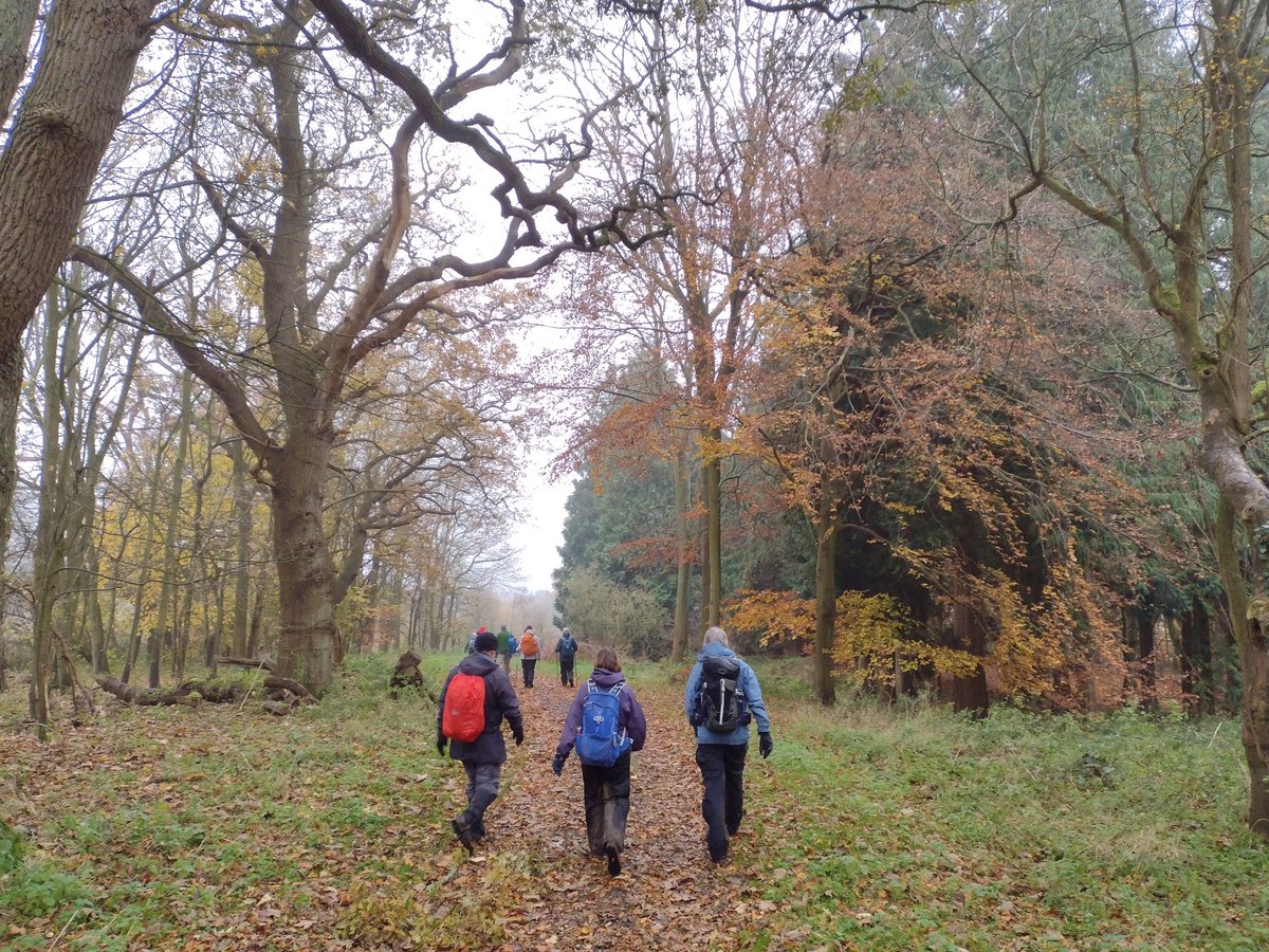 Oxon Weekend Walkers tweet media