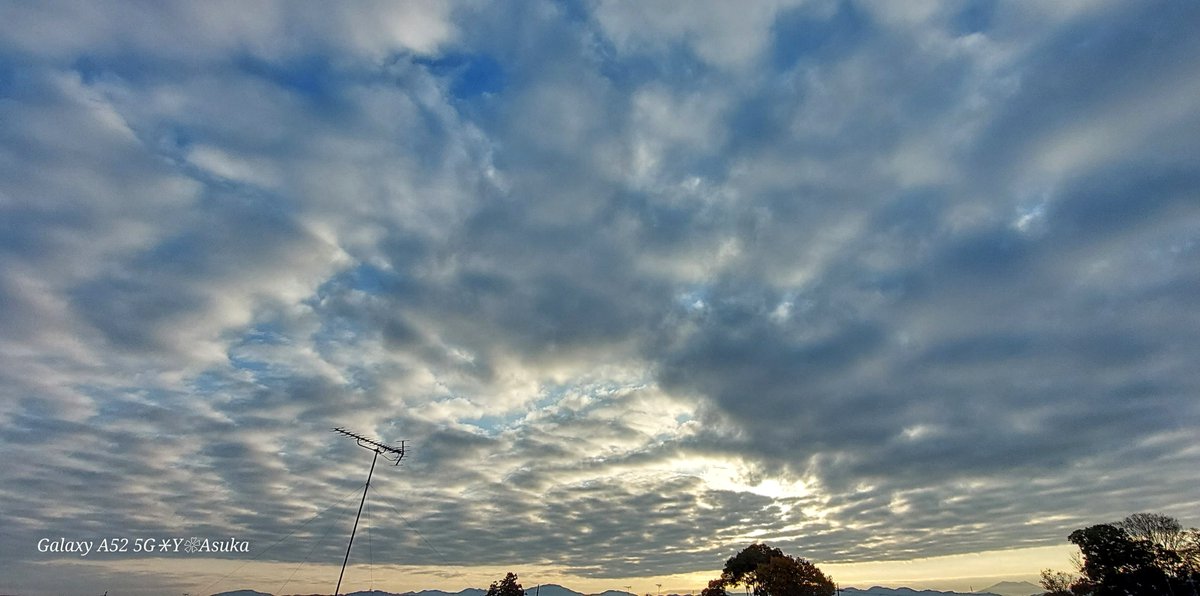 yumeasutw's tweet photo. 空一面 #高積雲 が広がり雲間から黄金色の陽光が差す冷えた月曜日の朝🌥️
まだ散らずに頑張る真っ赤な #モミジ 🍁
予想最高/最低気温🌡️15℃/5℃
曇りのち晴れ☁️→☀️
午後は段々青空が広がり南風が吹きそうです。
#イマソラ
#空の名前
#天気の図鑑 #気象のはなし
#紅葉 #庭木
#a2023 #a1127 #a202311 https://t.co/IFVxgTDo10