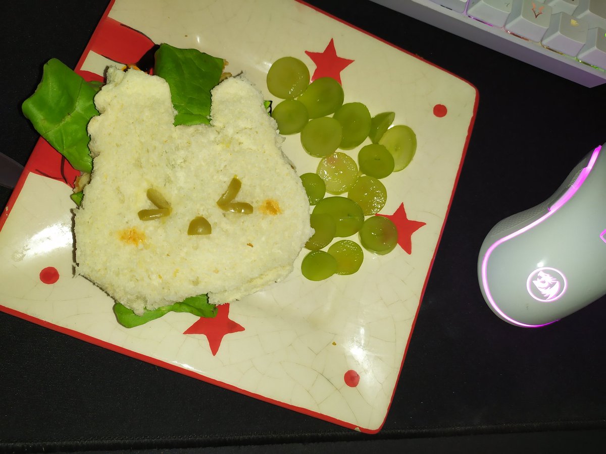 poetsingulier's tweet photo. dinner idk what animal it is maybe a bunny https://t.co/kzZ7LXbbKi