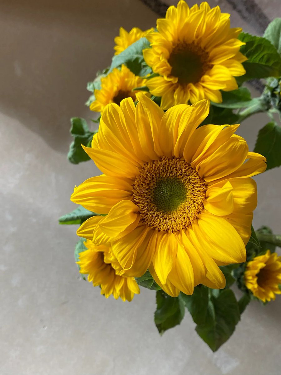 Midori613's tweet image. Have a great day!🙏🏻🙏🏻