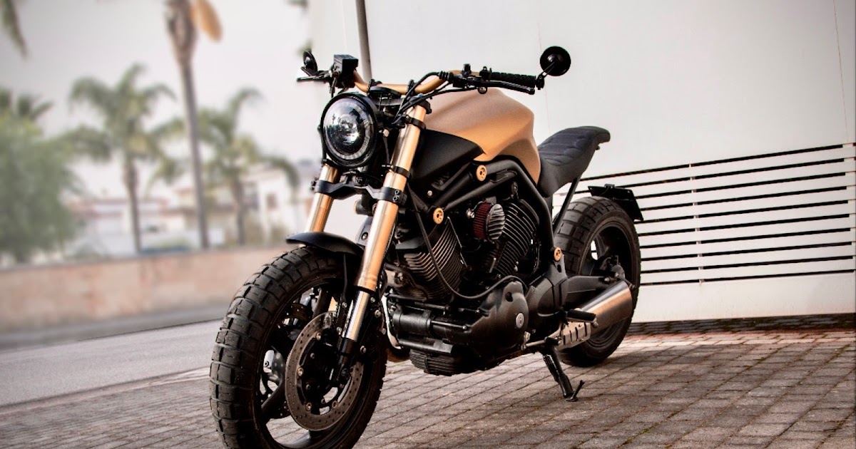 Bull Terrier dlvr.it/SzLjnZ