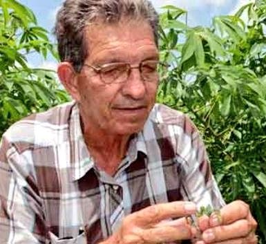 Asamblea Nacional Cuba tweet media