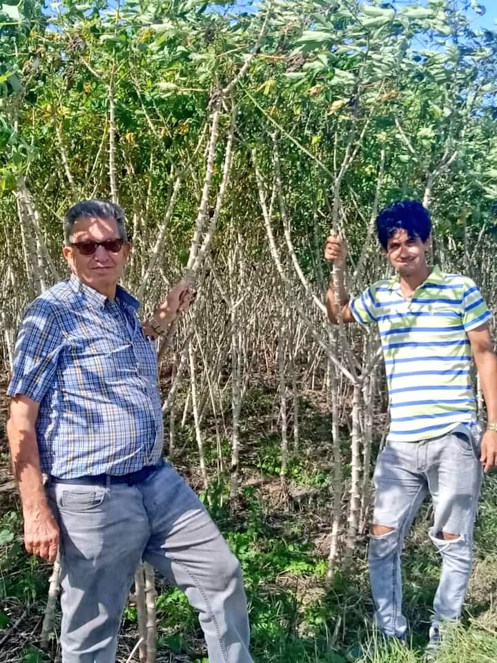 Asamblea Nacional Cuba tweet media