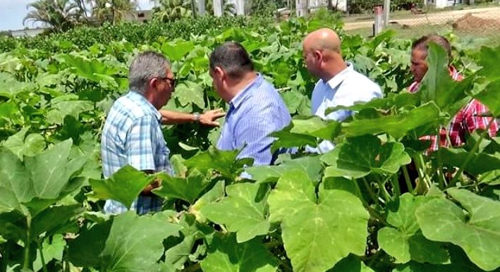 Esteban Lazo: 'Sentidas condolencias ante fallecimiento de eminente científico cubano y diputado a @AsambleaCuba🇨🇺,Sergio Juan Rodríguez Morales, Héroe del Trabajo y director general del @INIVIT_Cuba Sus aportes al sector agropecuario constituyen referente para #Cuba y el mundo'