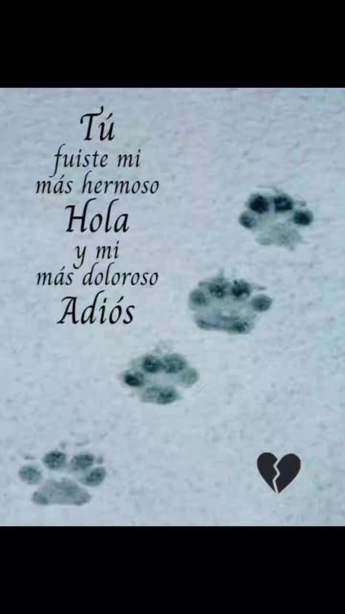 YO SENTI ESE DOLOR Y TU??