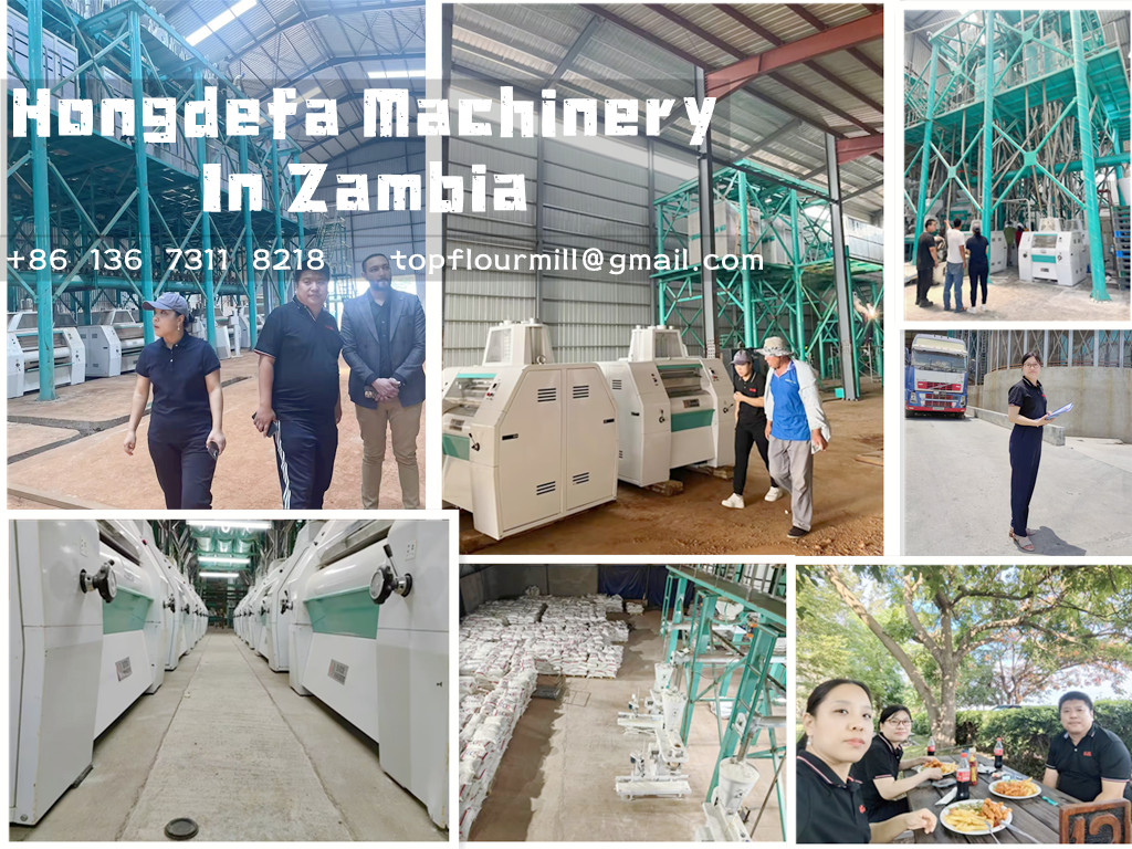 TopFlourMill's tweet image. Our team is currently on a visit to customer&apos;s factory in Zambia!   
We&apos;ve already received numerous positive and good feedback, which motivates us even more. 
more details please contact with us +86 136 7311 8218
 #maizeflourmill #maizemill #maizeprocessing #wheatflourmill