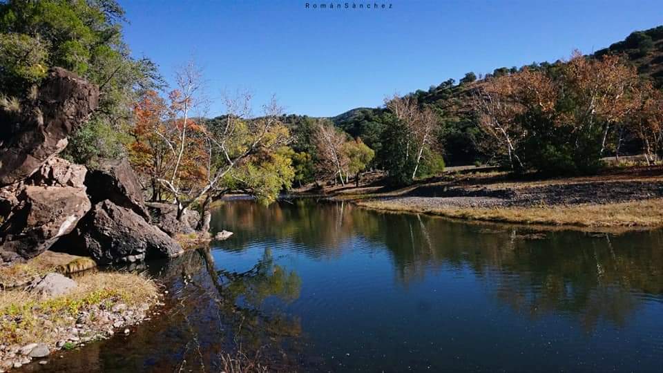 martikarinaz's tweet photo. Como que ya la hace falta una shaineada al puente de #3Rios allá en la #mesatresrios de #nacorichico que #tambienessonora
Fotos de #romansanchezfotografo https://t.co/2ISE7zmcFq