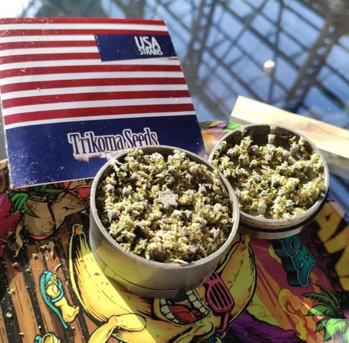 USA strains 🇺🇸🍁
#LegalizeMarijuana