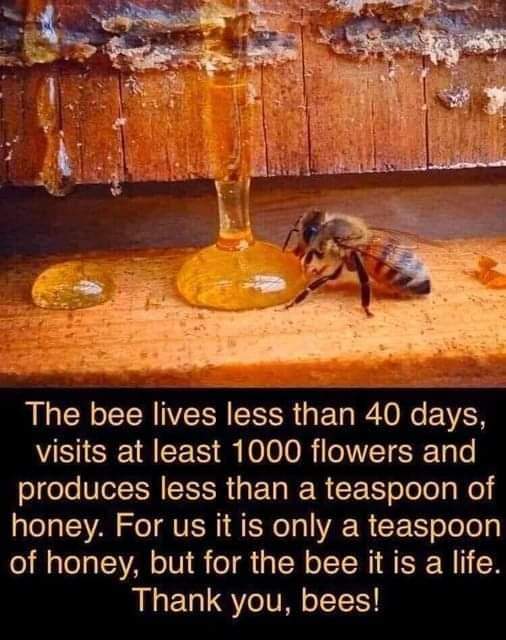 I have absolutely made it my professional purpose to develop sustainable e-government and social networking frameworks/models for developing countries starting with Cameroon. If I can come up with this tea spoon, I hope this teaspoon inspires infinite gallons in the future.