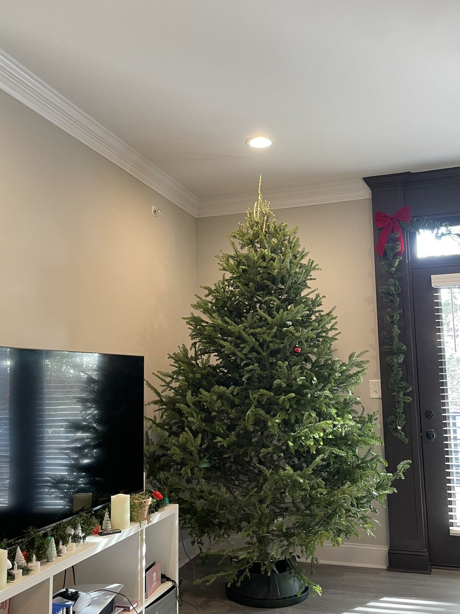 __chriistine's tweet image. i swore the tree looked way smaller in the lot