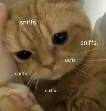 ai meu sonho de rp é plotar gallavich