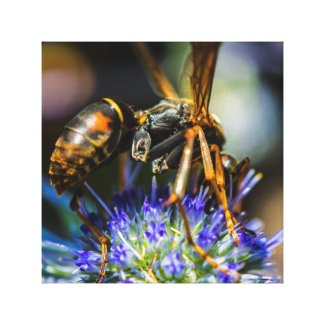 LowellMcnamara's tweet photo. https://t.co/a0Kg6dviWz #Beeaware #bees #Savethebees #bee #nature #Flowers #WrappedCanvas #Gifts #Giftideas #Zazzle https://t.co/iPD2FjvltI