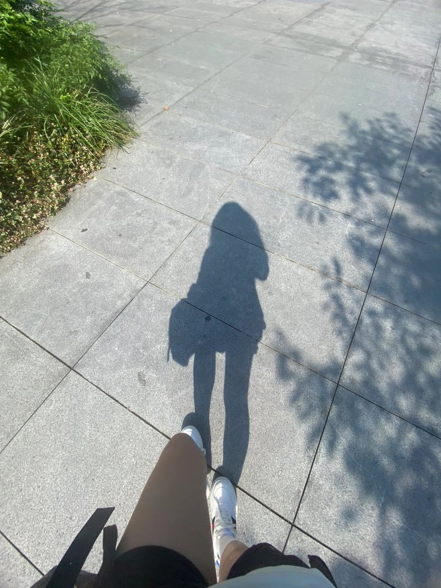Every morning walk is a chance to explore new paths and discover new things.🚶🏼‍♀️😊