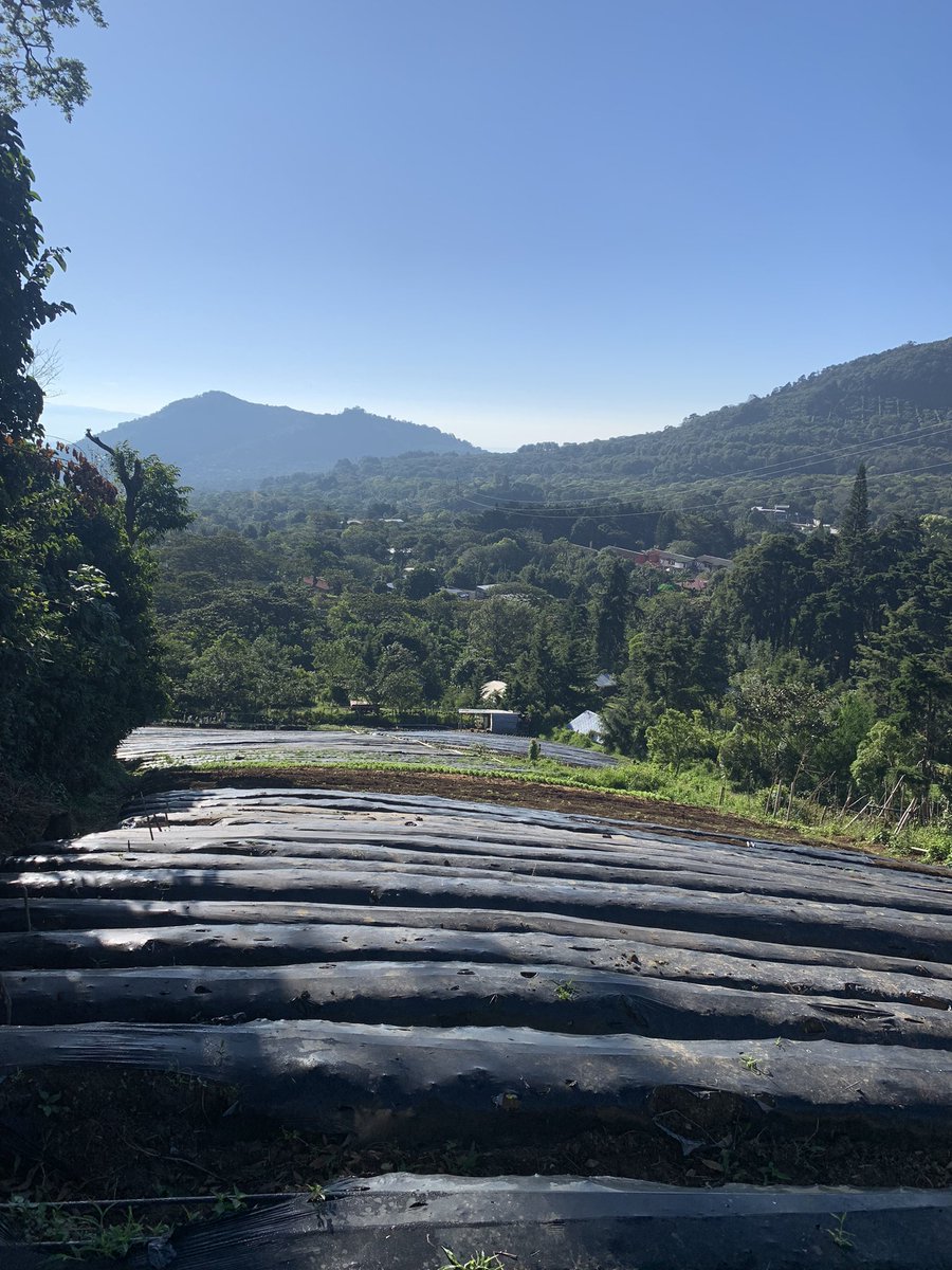 Preparado Terrenos para nuevas siembras Gracias a Dios 🙏🏻