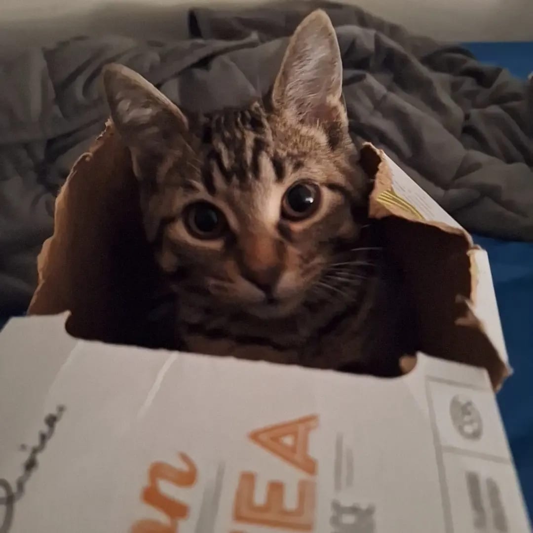 Look at this cute fuck