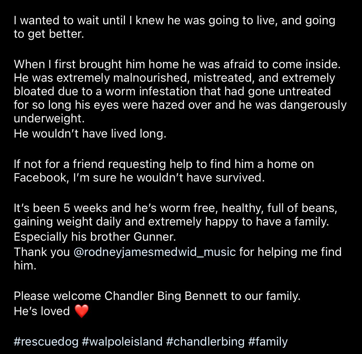 Damon Bennett tweet media