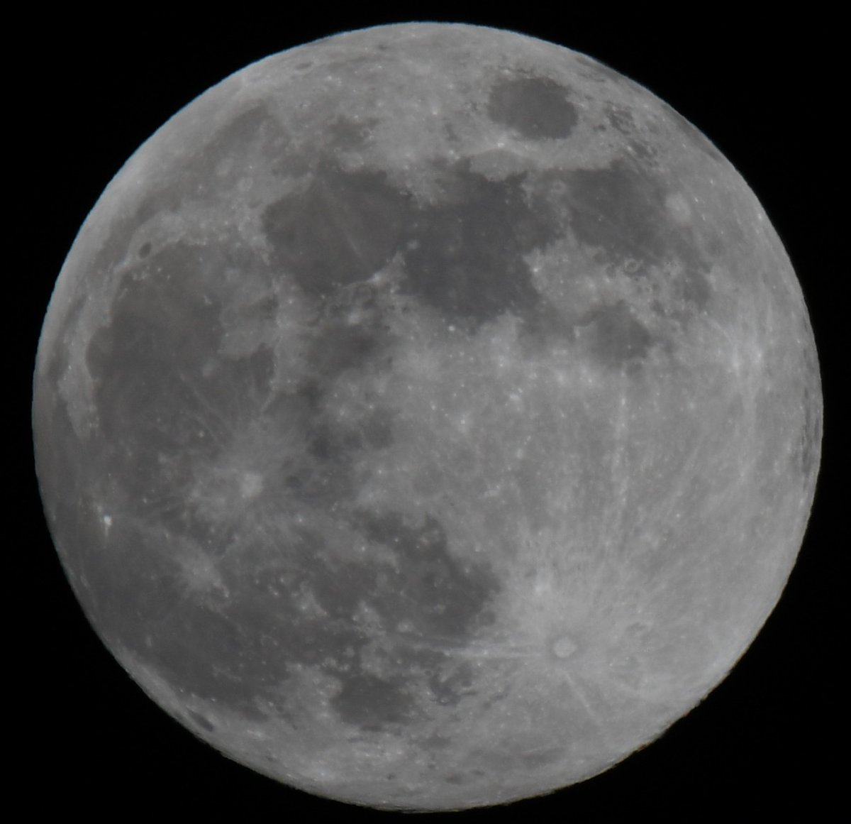MaxCasa28's tweet photo. #GoBeavs ... Just when it's darkest... A Beaver Moon is rising... Our pelts are thickest ... We are shining through to our next phase... #Stay_Classy #GoBeavs 🦫🦫🦫 #moon #Astrophotography ... https://t.co/3tG2glhS56