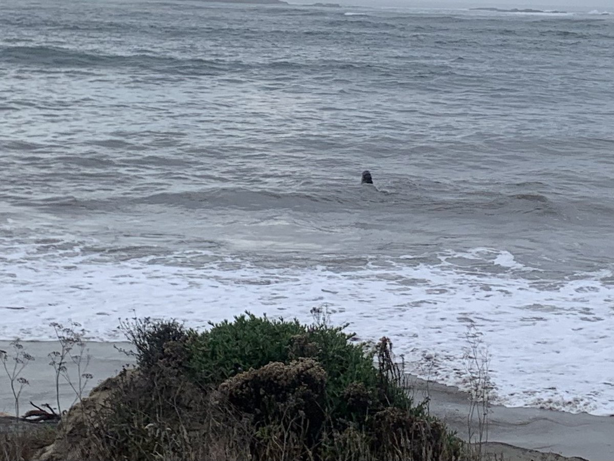 Catherine Curtin tweet media