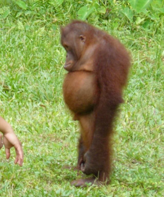 Champagne PapSmear (@queefdaddy) on Twitter photo 