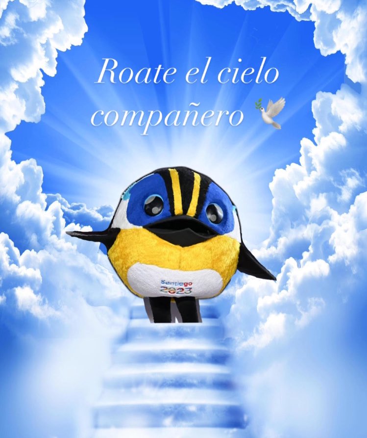insanaysalva's tweet photo. Hasta siempre, FIU 🥹🕊️🤍…

#Santiago2023
#Parapanamericanos2023 https://t.co/FbDtVHAT3w