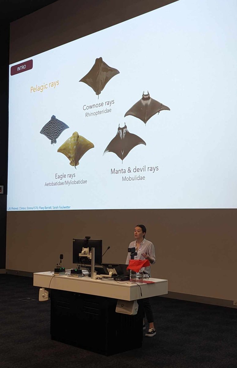 Last week I had the pleasure of presenting my work at <a href="/ipfc2023/">IPFC2023</a> and what a great week it was! Thank you to <a href="/AustSocFishBiol/">ASFB</a> and <a href="/OceaniaSharks/">OceaniaSharks</a> for supporting my attendance!