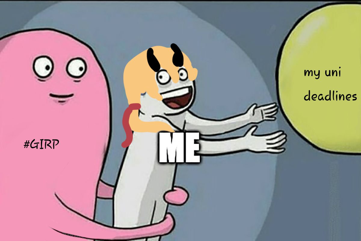 {{ back by unpopular demands, my stupid memes on TL