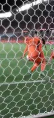 Costco Rotisserie Chicken Matthew Lesko tweet media