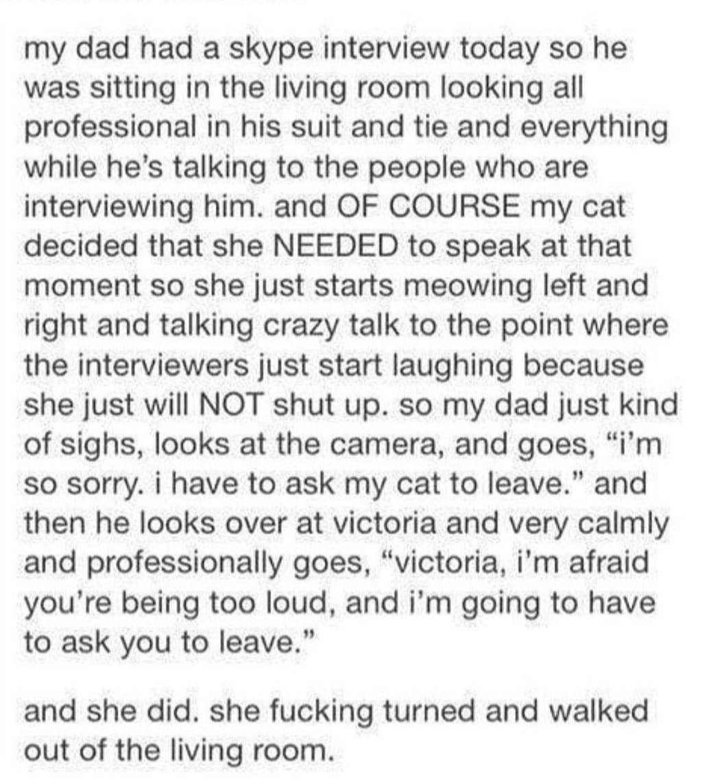 WholesomeMemes (@wholesomememe) on Twitter photo 